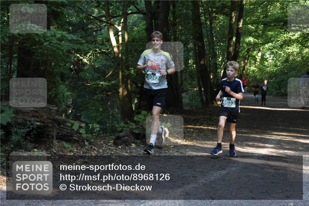 28.09.2025 - 33. Volkslauf durch das schöne Alstertal Strokosch-Dieckow http://msf.ph/oto/8968126 28.09.2025 10:53:54 Laufen 4042, 4033 meine-sportfotos.de