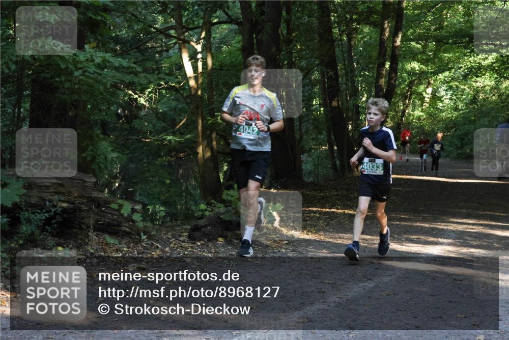 28.09.2025 - 33. Volkslauf durch das schöne Alstertal Strokosch-Dieckow http://msf.ph/oto/8968127 28.09.2025 10:53:54 Laufen 4042, 4033 meine-sportfotos.de
