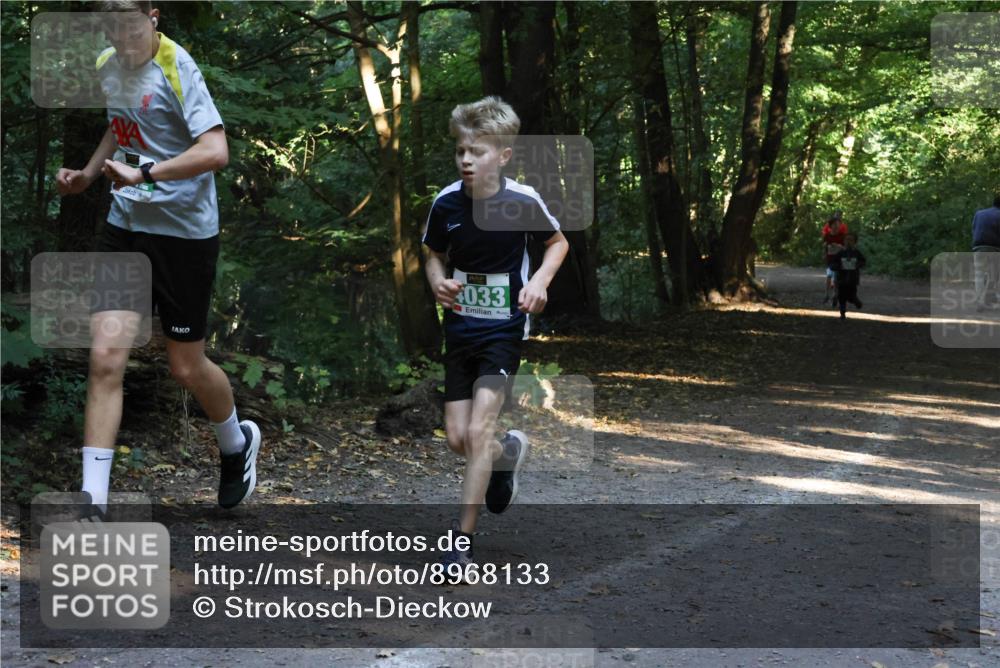 28.09.2025 - 33. Volkslauf durch das schöne Alstertal Strokosch-Dieckow http://msf.ph/oto/8968133 28.09.2025 10:53:55 Laufen 033 meine-sportfotos.de