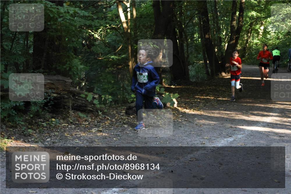 28.09.2025 - 33. Volkslauf durch das schöne Alstertal Strokosch-Dieckow http://msf.ph/oto/8968134 28.09.2025 10:54:02 Laufen 4084 meine-sportfotos.de