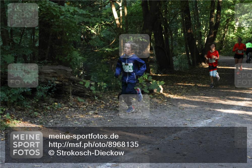 28.09.2025 - 33. Volkslauf durch das schöne Alstertal Strokosch-Dieckow http://msf.ph/oto/8968135 28.09.2025 10:54:02 Laufen 4084 meine-sportfotos.de