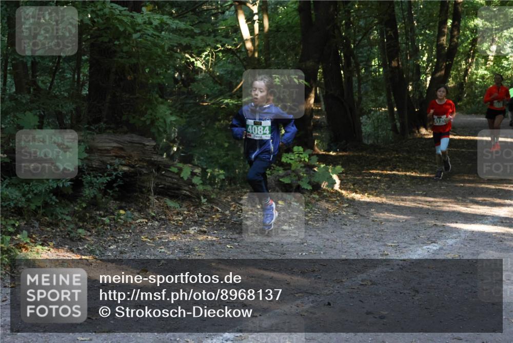28.09.2025 - 33. Volkslauf durch das schöne Alstertal Strokosch-Dieckow http://msf.ph/oto/8968137 28.09.2025 10:54:02 Laufen 4084 meine-sportfotos.de