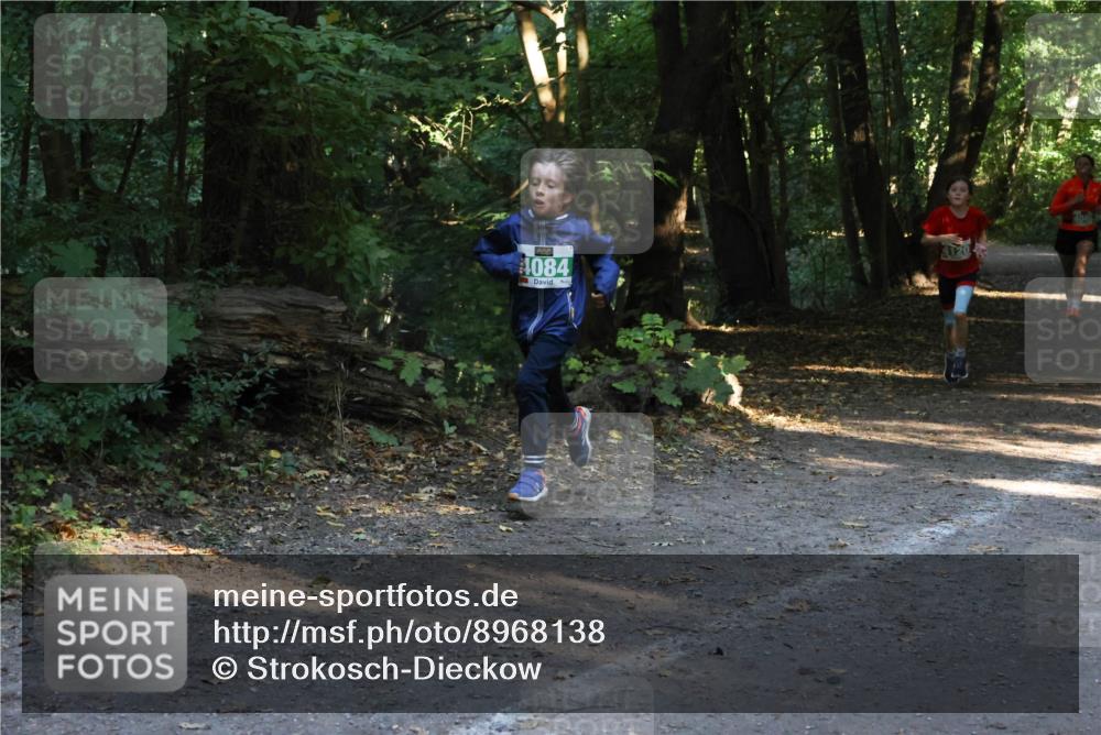 28.09.2025 - 33. Volkslauf durch das schöne Alstertal Strokosch-Dieckow http://msf.ph/oto/8968138 28.09.2025 10:54:02 Laufen 4084, 4120 meine-sportfotos.de