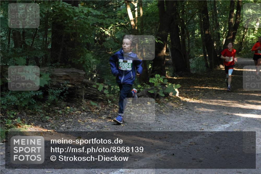 28.09.2025 - 33. Volkslauf durch das schöne Alstertal Strokosch-Dieckow http://msf.ph/oto/8968139 28.09.2025 10:54:02 Laufen 4084 meine-sportfotos.de