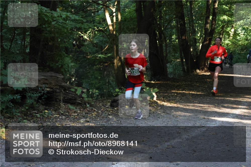 28.09.2025 - 33. Volkslauf durch das schöne Alstertal Strokosch-Dieckow http://msf.ph/oto/8968141 28.09.2025 10:54:04 Laufen 120, 4046 meine-sportfotos.de