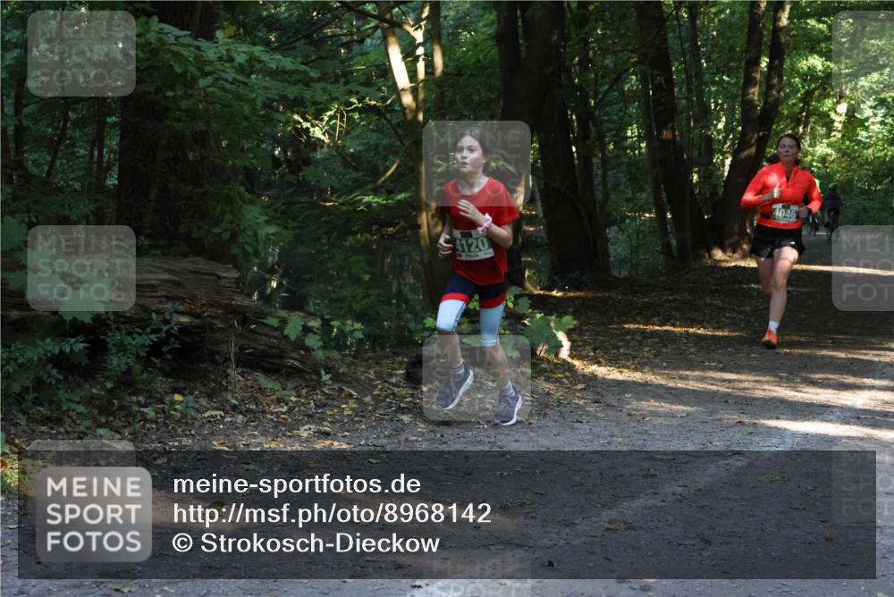 28.09.2025 - 33. Volkslauf durch das schöne Alstertal Strokosch-Dieckow http://msf.ph/oto/8968142 28.09.2025 10:54:04 Laufen 4120, 4046 meine-sportfotos.de