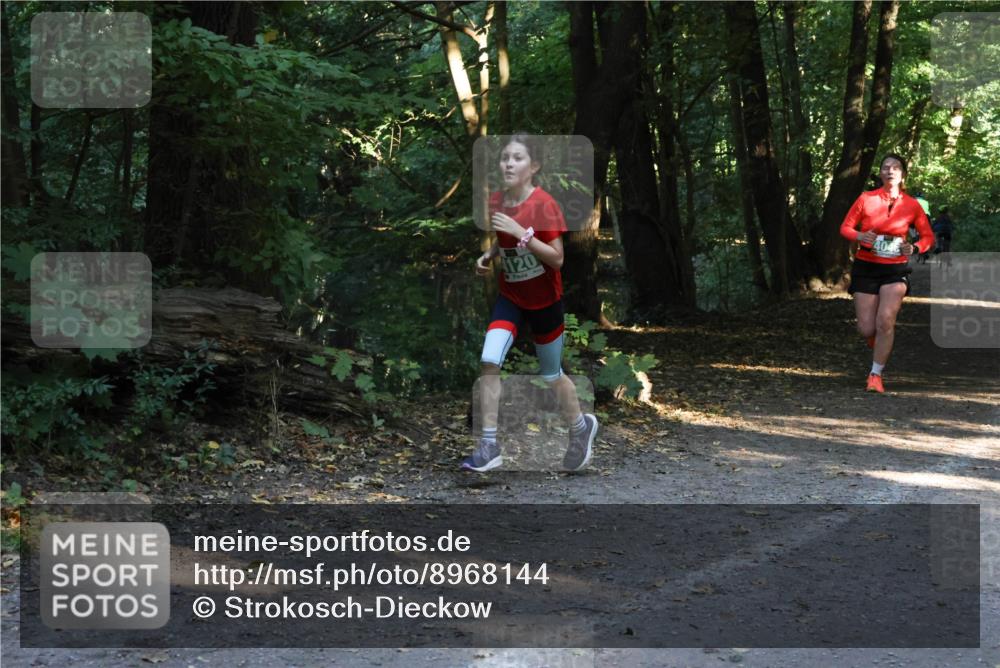 28.09.2025 - 33. Volkslauf durch das schöne Alstertal Strokosch-Dieckow http://msf.ph/oto/8968144 28.09.2025 10:54:04 Laufen 4120 meine-sportfotos.de