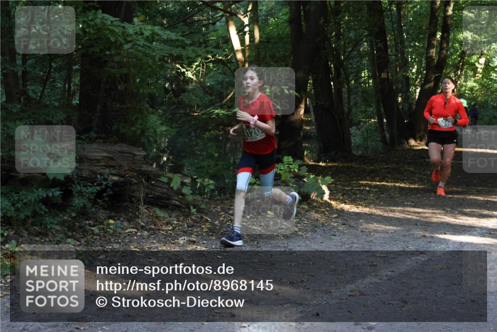 28.09.2025 - 33. Volkslauf durch das schöne Alstertal Strokosch-Dieckow http://msf.ph/oto/8968145 28.09.2025 10:54:04 Laufen 4120, 4040 meine-sportfotos.de