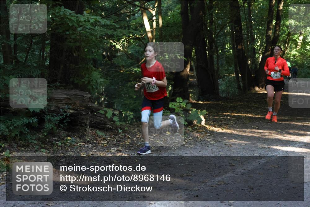 28.09.2025 - 33. Volkslauf durch das schöne Alstertal Strokosch-Dieckow http://msf.ph/oto/8968146 28.09.2025 10:54:04 Laufen 120, 4046 meine-sportfotos.de