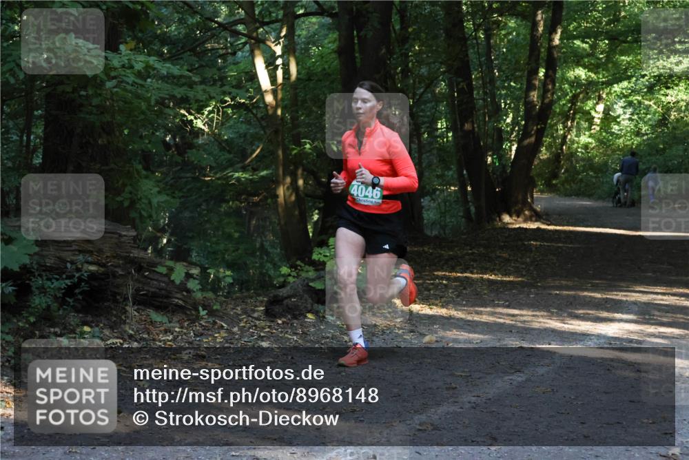 28.09.2025 - 33. Volkslauf durch das schöne Alstertal Strokosch-Dieckow http://msf.ph/oto/8968148 28.09.2025 10:54:06 Laufen 4046 meine-sportfotos.de