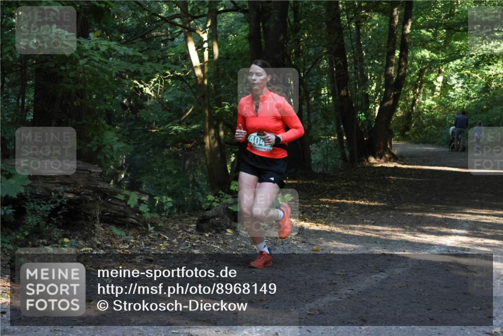 28.09.2025 - 33. Volkslauf durch das schöne Alstertal Strokosch-Dieckow http://msf.ph/oto/8968149 28.09.2025 10:54:06 Laufen 404 meine-sportfotos.de