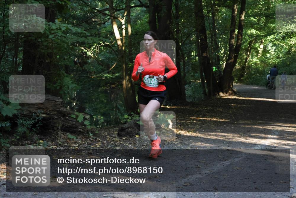 28.09.2025 - 33. Volkslauf durch das schöne Alstertal Strokosch-Dieckow http://msf.ph/oto/8968150 28.09.2025 10:54:06 Laufen 4046 meine-sportfotos.de