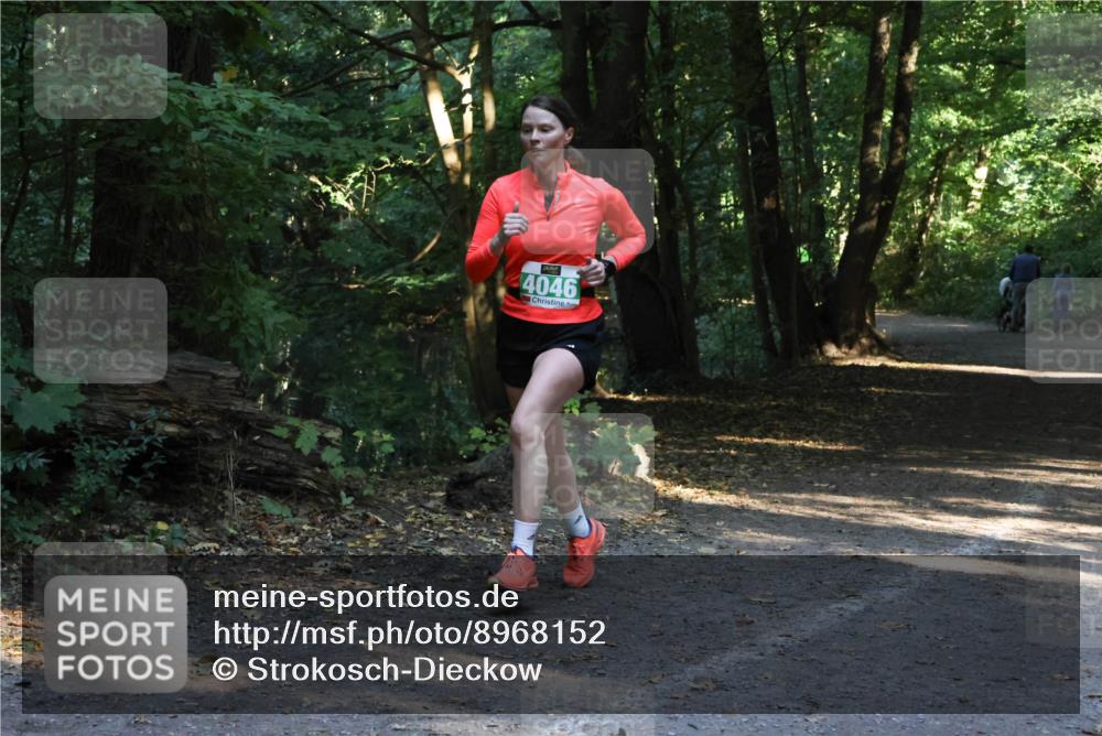 28.09.2025 - 33. Volkslauf durch das schöne Alstertal Strokosch-Dieckow http://msf.ph/oto/8968152 28.09.2025 10:54:06 Laufen 44046 meine-sportfotos.de
