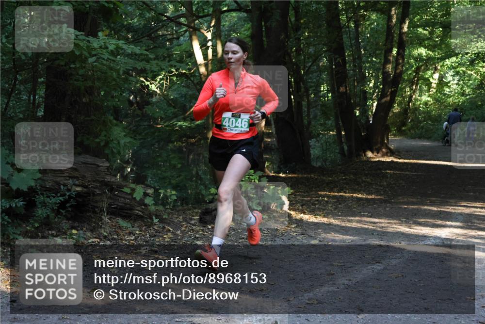 28.09.2025 - 33. Volkslauf durch das schöne Alstertal Strokosch-Dieckow http://msf.ph/oto/8968153 28.09.2025 10:54:06 Laufen 4046 meine-sportfotos.de