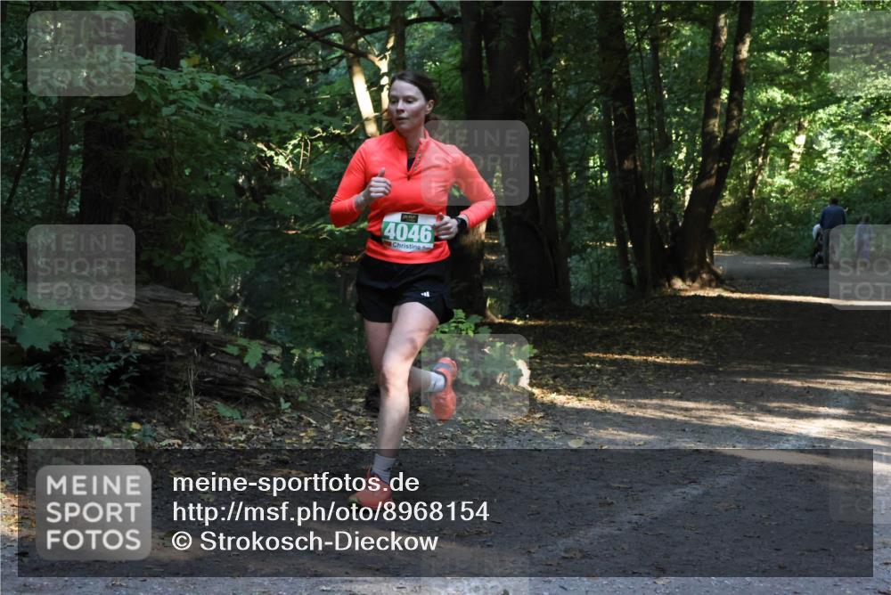 28.09.2025 - 33. Volkslauf durch das schöne Alstertal Strokosch-Dieckow http://msf.ph/oto/8968154 28.09.2025 10:54:06 Laufen 4046 meine-sportfotos.de