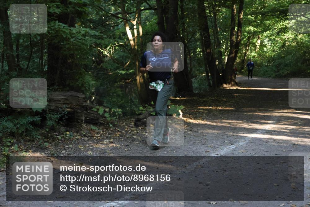 28.09.2025 - 33. Volkslauf durch das schöne Alstertal Strokosch-Dieckow http://msf.ph/oto/8968156 28.09.2025 10:54:23 Laufen  meine-sportfotos.de