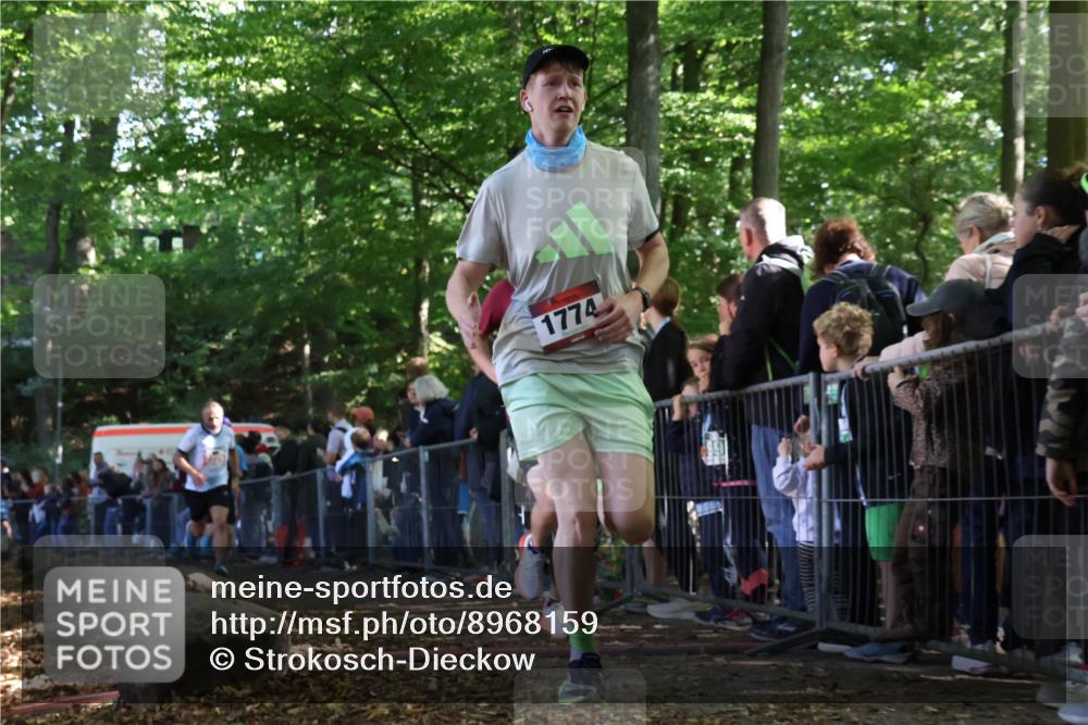 28.09.2025 - 33. Volkslauf durch das schöne Alstertal Strokosch-Dieckow http://msf.ph/oto/8968159 28.09.2025 11:48:32 Ziel 1559, 1592, 1774, 2229 meine-sportfotos.de