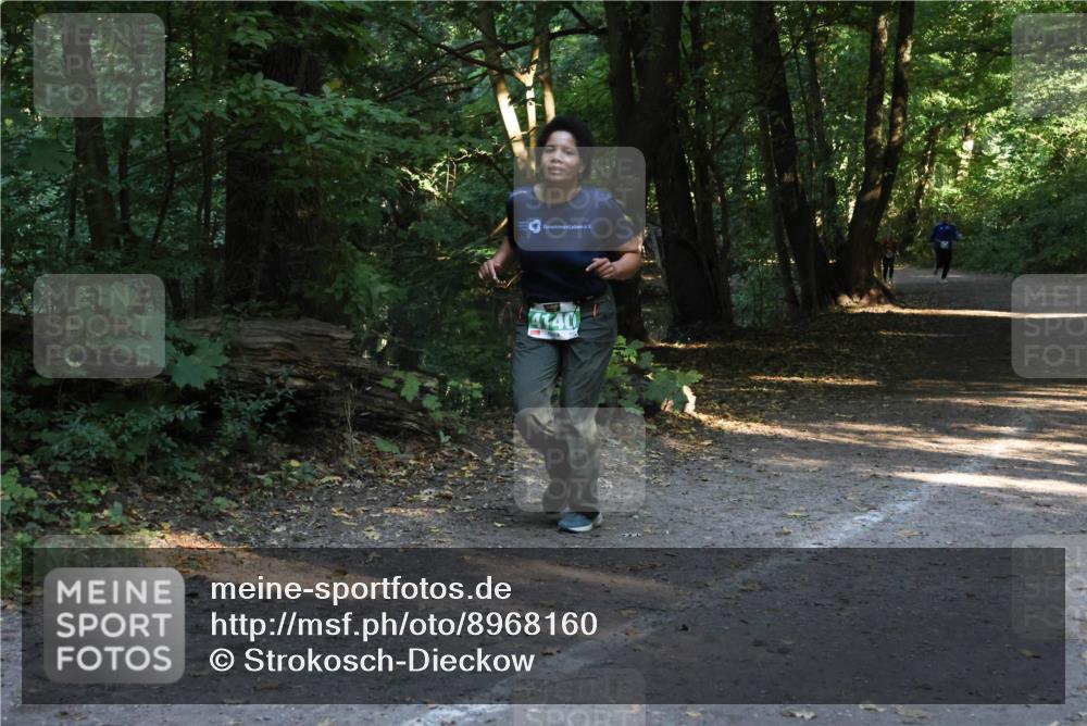 28.09.2025 - 33. Volkslauf durch das schöne Alstertal Strokosch-Dieckow http://msf.ph/oto/8968160 28.09.2025 10:54:23 Laufen 4140 meine-sportfotos.de