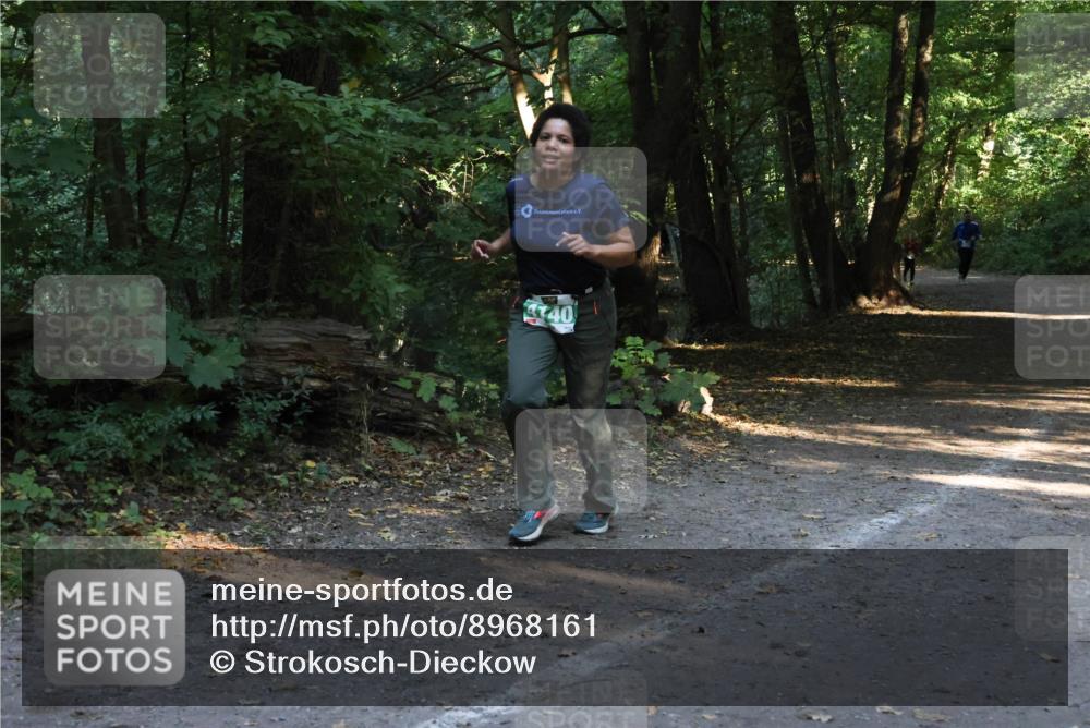 28.09.2025 - 33. Volkslauf durch das schöne Alstertal Strokosch-Dieckow http://msf.ph/oto/8968161 28.09.2025 10:54:23 Laufen 440 meine-sportfotos.de