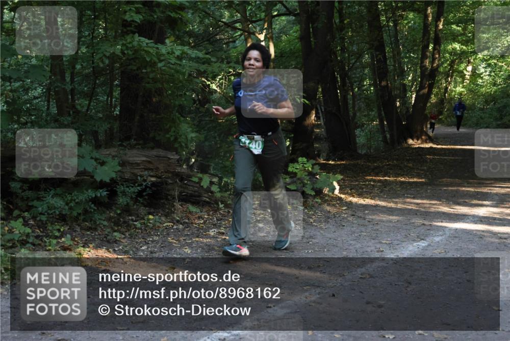 28.09.2025 - 33. Volkslauf durch das schöne Alstertal Strokosch-Dieckow http://msf.ph/oto/8968162 28.09.2025 10:54:23 Laufen 40 meine-sportfotos.de