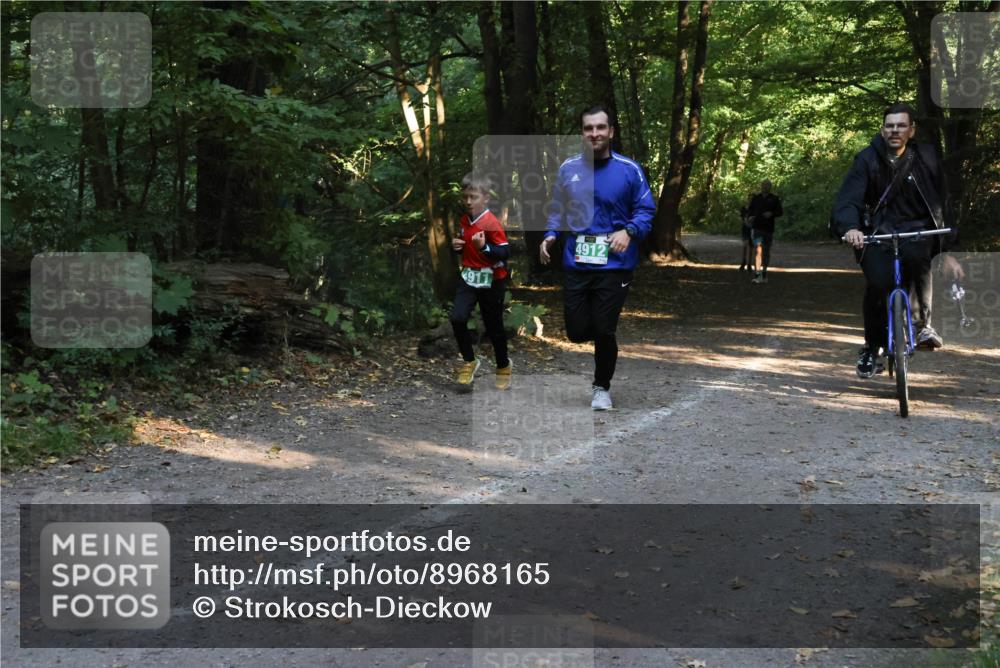 28.09.2025 - 33. Volkslauf durch das schöne Alstertal Strokosch-Dieckow http://msf.ph/oto/8968165 28.09.2025 10:54:34 Laufen 4912 meine-sportfotos.de