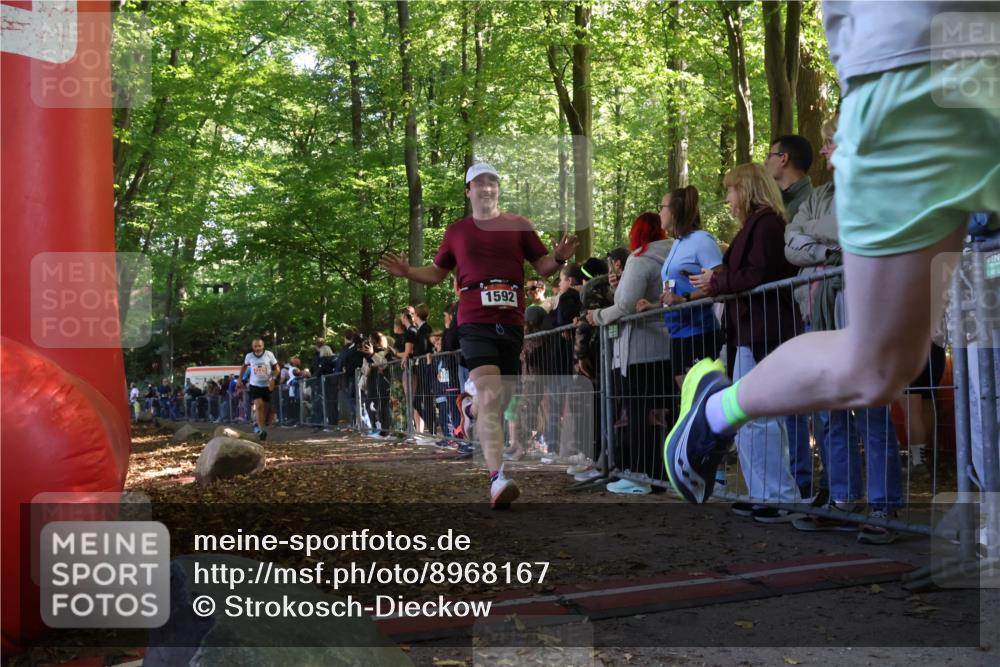 28.09.2025 - 33. Volkslauf durch das schöne Alstertal Strokosch-Dieckow http://msf.ph/oto/8968167 28.09.2025 11:48:33 Ziel 1559, 1592, 1774, 2229 meine-sportfotos.de