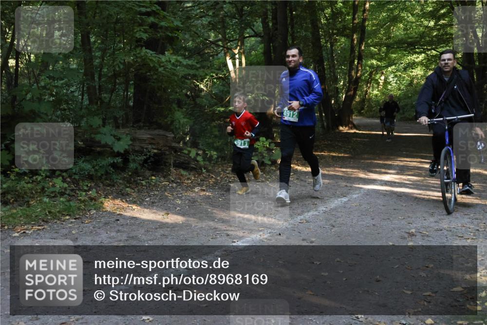 28.09.2025 - 33. Volkslauf durch das schöne Alstertal Strokosch-Dieckow http://msf.ph/oto/8968169 28.09.2025 10:54:35 Laufen 911, 4912 meine-sportfotos.de