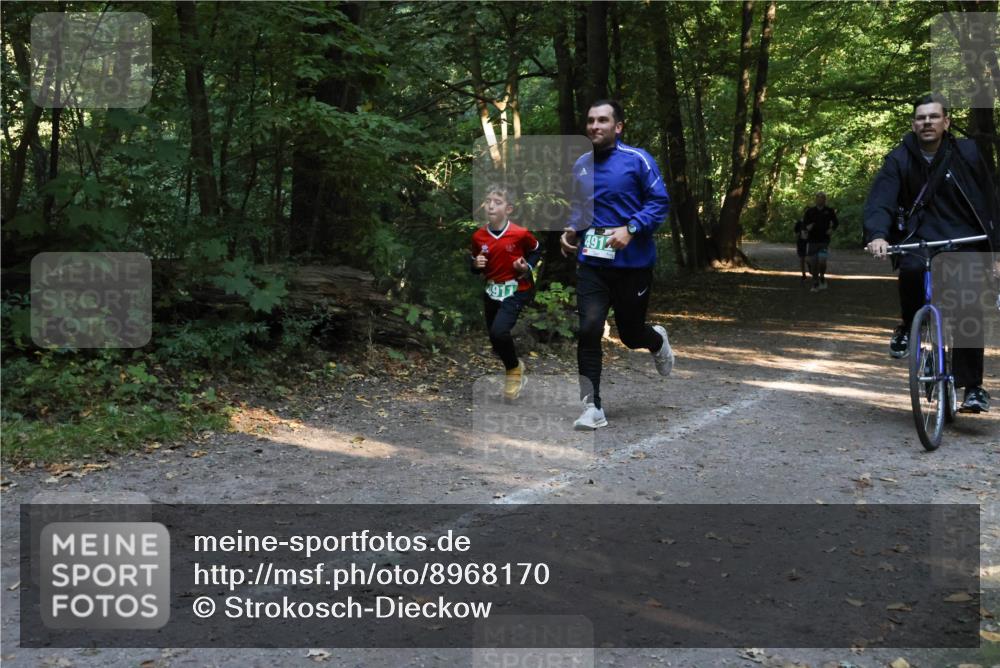 28.09.2025 - 33. Volkslauf durch das schöne Alstertal Strokosch-Dieckow http://msf.ph/oto/8968170 28.09.2025 10:54:35 Laufen 4912 meine-sportfotos.de