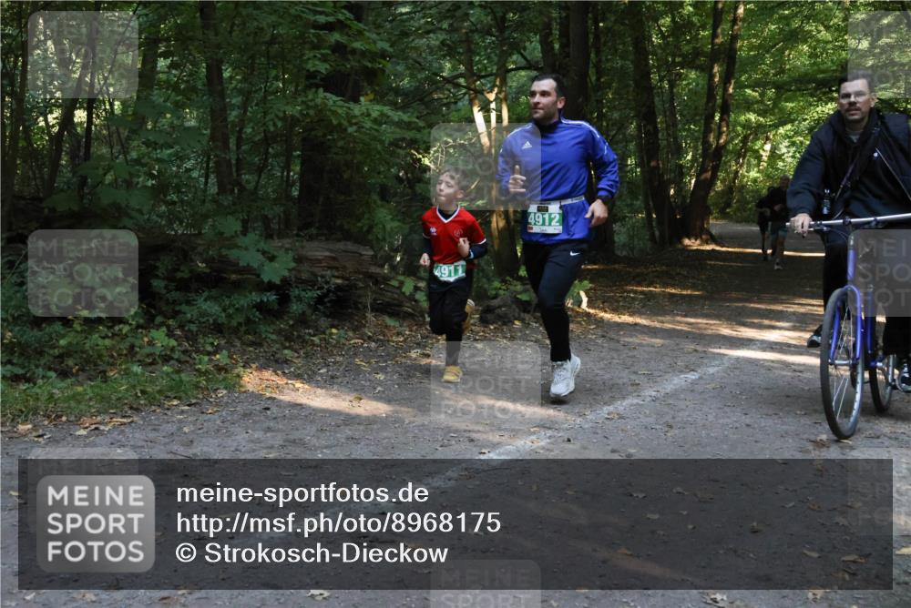 28.09.2025 - 33. Volkslauf durch das schöne Alstertal Strokosch-Dieckow http://msf.ph/oto/8968175 28.09.2025 10:54:35 Laufen 4911, 4912 meine-sportfotos.de