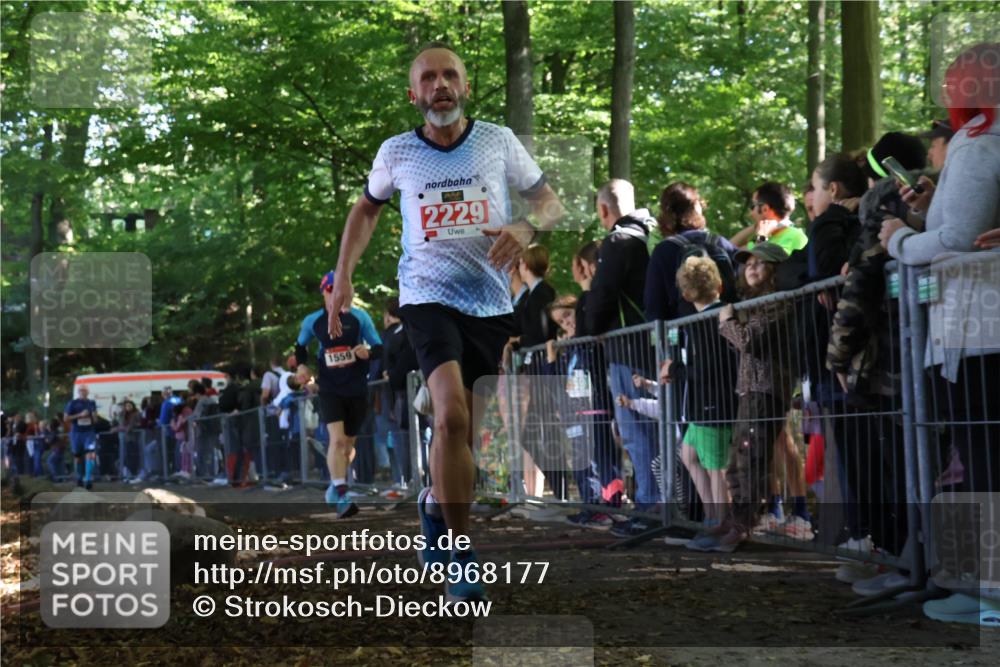 28.09.2025 - 33. Volkslauf durch das schöne Alstertal Strokosch-Dieckow http://msf.ph/oto/8968177 28.09.2025 11:48:34 Ziel 1559, 1560, 2229 meine-sportfotos.de