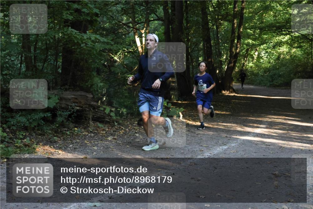 28.09.2025 - 33. Volkslauf durch das schöne Alstertal Strokosch-Dieckow http://msf.ph/oto/8968179 28.09.2025 10:54:39 Laufen  meine-sportfotos.de