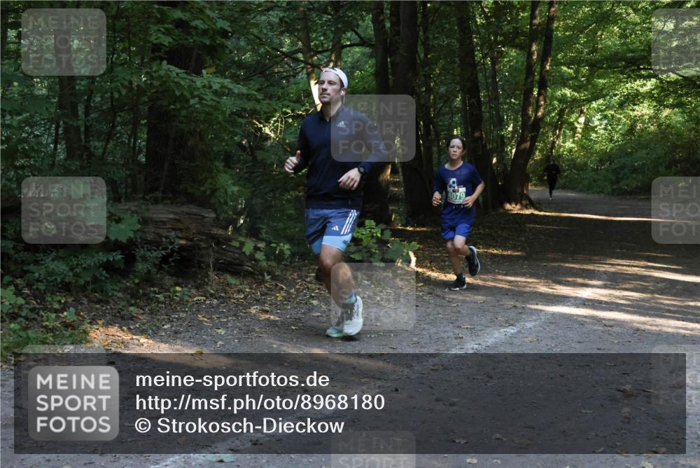 28.09.2025 - 33. Volkslauf durch das schöne Alstertal Strokosch-Dieckow http://msf.ph/oto/8968180 28.09.2025 10:54:40 Laufen 4079 meine-sportfotos.de