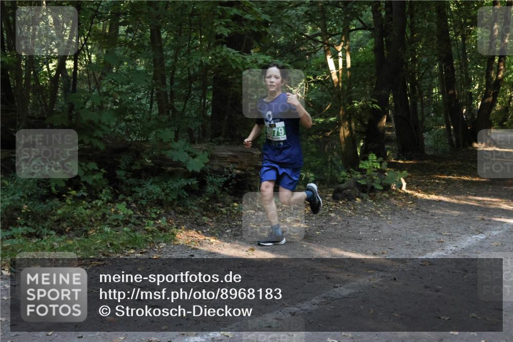 28.09.2025 - 33. Volkslauf durch das schöne Alstertal Strokosch-Dieckow http://msf.ph/oto/8968183 28.09.2025 10:54:41 Laufen 4079 meine-sportfotos.de