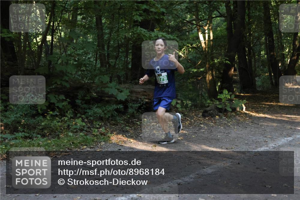 28.09.2025 - 33. Volkslauf durch das schöne Alstertal Strokosch-Dieckow http://msf.ph/oto/8968184 28.09.2025 10:54:41 Laufen 079 meine-sportfotos.de