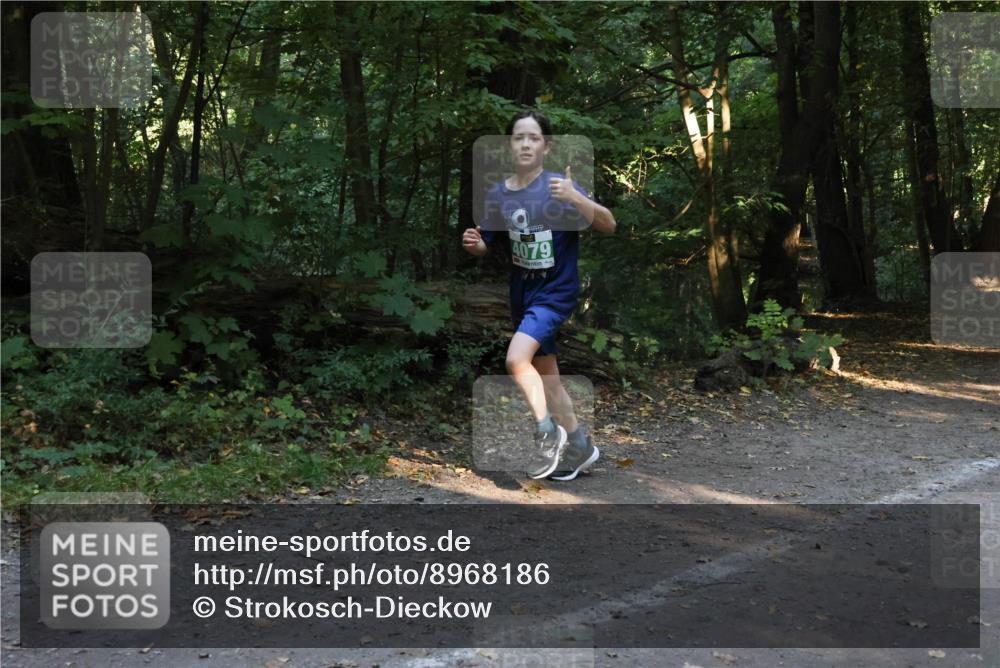 28.09.2025 - 33. Volkslauf durch das schöne Alstertal Strokosch-Dieckow http://msf.ph/oto/8968186 28.09.2025 10:54:41 Laufen 4079 meine-sportfotos.de