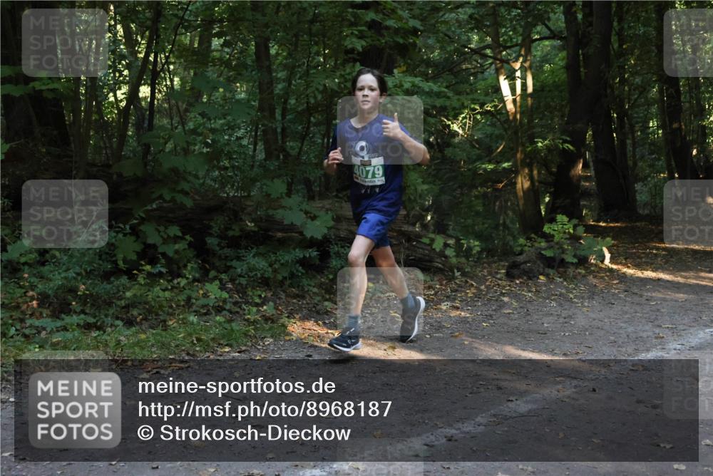 28.09.2025 - 33. Volkslauf durch das schöne Alstertal Strokosch-Dieckow http://msf.ph/oto/8968187 28.09.2025 10:54:41 Laufen 4079 meine-sportfotos.de