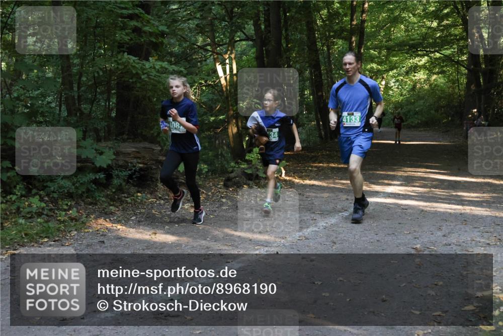 28.09.2025 - 33. Volkslauf durch das schöne Alstertal Strokosch-Dieckow http://msf.ph/oto/8968190 28.09.2025 10:54:57 Laufen 4133, 108, 34 meine-sportfotos.de