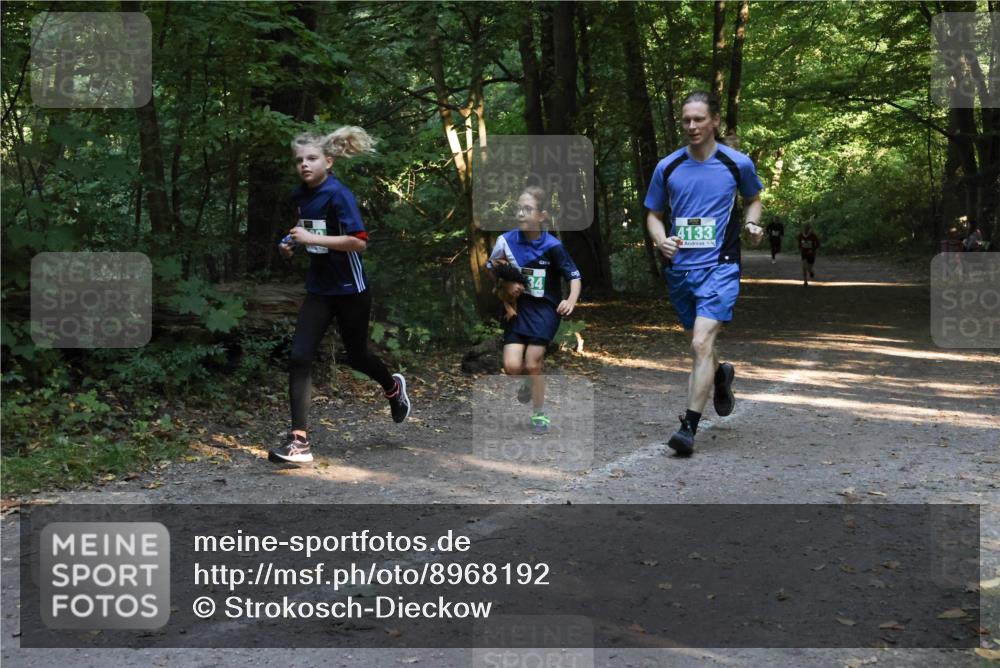 28.09.2025 - 33. Volkslauf durch das schöne Alstertal Strokosch-Dieckow http://msf.ph/oto/8968192 28.09.2025 10:54:58 Laufen 4133 meine-sportfotos.de