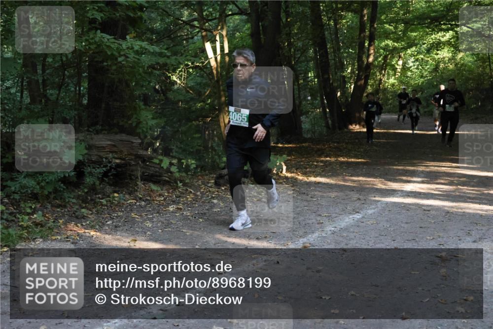 28.09.2025 - 33. Volkslauf durch das schöne Alstertal Strokosch-Dieckow http://msf.ph/oto/8968199 28.09.2025 10:55:10 Laufen 4065 meine-sportfotos.de