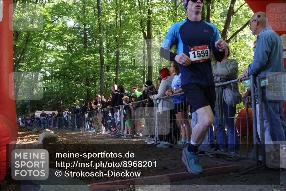 28.09.2025 - 33. Volkslauf durch das schöne Alstertal Strokosch-Dieckow http://msf.ph/oto/8968201 28.09.2025 11:48:37 Ziel 1559, 1560, 1590, 1607 meine-sportfotos.de