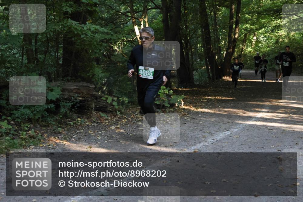 28.09.2025 - 33. Volkslauf durch das schöne Alstertal Strokosch-Dieckow http://msf.ph/oto/8968202 28.09.2025 10:55:10 Laufen 4065 meine-sportfotos.de