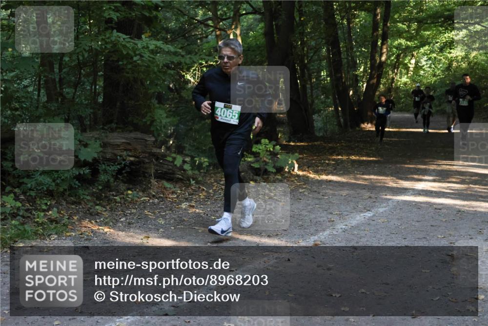 28.09.2025 - 33. Volkslauf durch das schöne Alstertal Strokosch-Dieckow http://msf.ph/oto/8968203 28.09.2025 10:55:11 Laufen 4065 meine-sportfotos.de