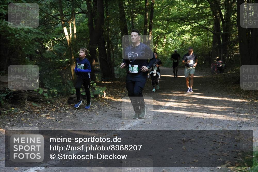 28.09.2025 - 33. Volkslauf durch das schöne Alstertal Strokosch-Dieckow http://msf.ph/oto/8968207 28.09.2025 10:55:15 Laufen 081, 4186 meine-sportfotos.de