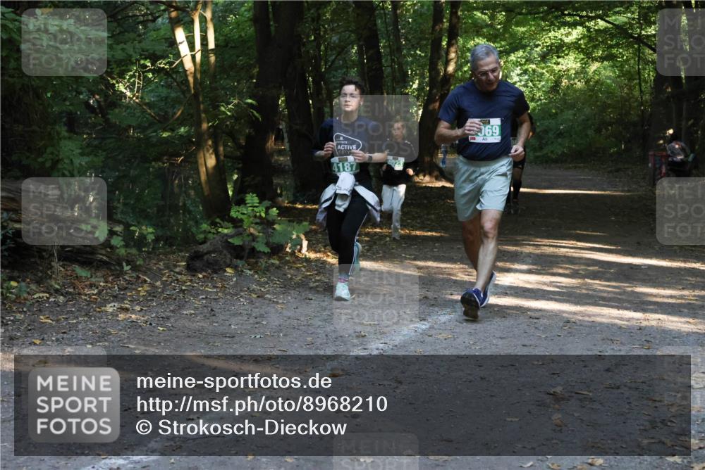 28.09.2025 - 33. Volkslauf durch das schöne Alstertal Strokosch-Dieckow http://msf.ph/oto/8968210 28.09.2025 10:55:17 Laufen 4187, 4023, 60 meine-sportfotos.de