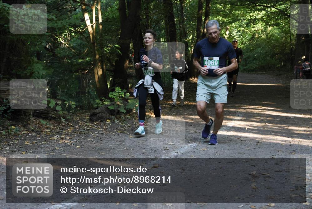 28.09.2025 - 33. Volkslauf durch das schöne Alstertal Strokosch-Dieckow http://msf.ph/oto/8968214 28.09.2025 10:55:17 Laufen 4187, 4069 meine-sportfotos.de
