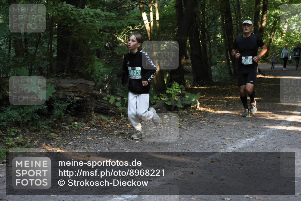 28.09.2025 - 33. Volkslauf durch das schöne Alstertal Strokosch-Dieckow http://msf.ph/oto/8968221 28.09.2025 10:55:20 Laufen 4023, 4048 meine-sportfotos.de