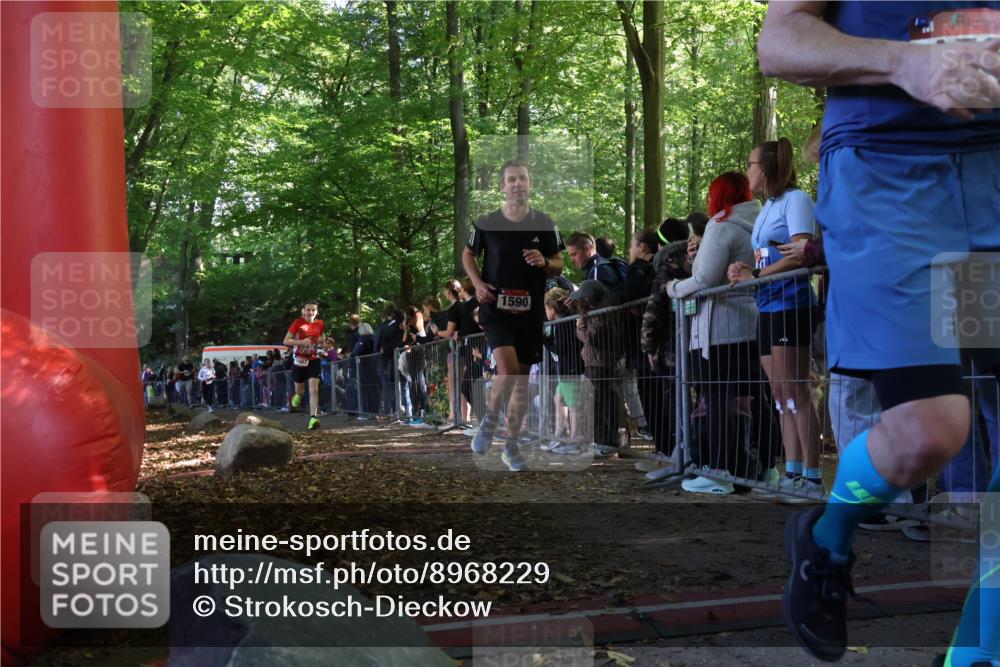 28.09.2025 - 33. Volkslauf durch das schöne Alstertal Strokosch-Dieckow http://msf.ph/oto/8968229 28.09.2025 11:48:44 Ziel 1123, 1560, 1590, 1606, 1607 meine-sportfotos.de