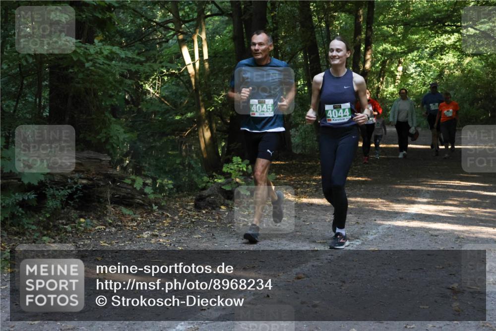 28.09.2025 - 33. Volkslauf durch das schöne Alstertal Strokosch-Dieckow http://msf.ph/oto/8968234 28.09.2025 10:55:31 Laufen 4045, 4044 meine-sportfotos.de
