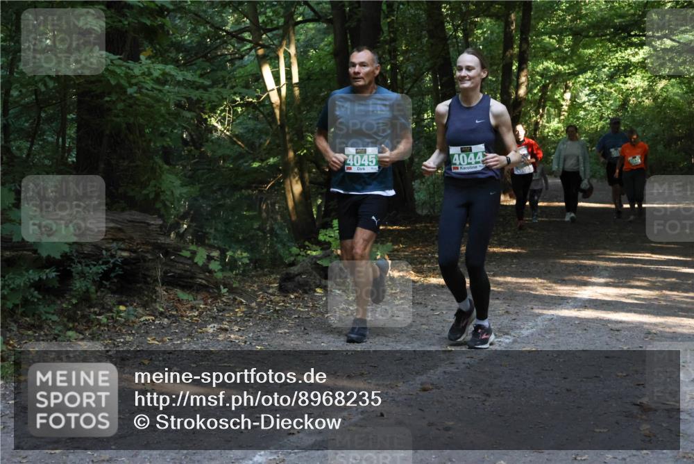 28.09.2025 - 33. Volkslauf durch das schöne Alstertal Strokosch-Dieckow http://msf.ph/oto/8968235 28.09.2025 10:55:31 Laufen 4045, 4044, 4032 meine-sportfotos.de