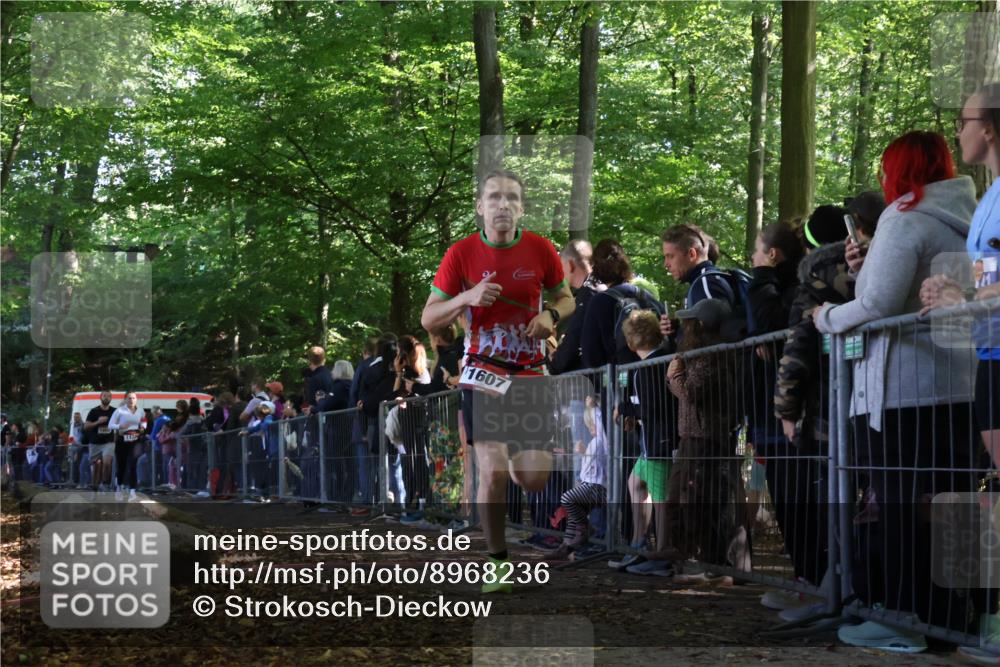 28.09.2025 - 33. Volkslauf durch das schöne Alstertal Strokosch-Dieckow http://msf.ph/oto/8968236 28.09.2025 11:48:46 Ziel 1123, 1606, 1607 meine-sportfotos.de